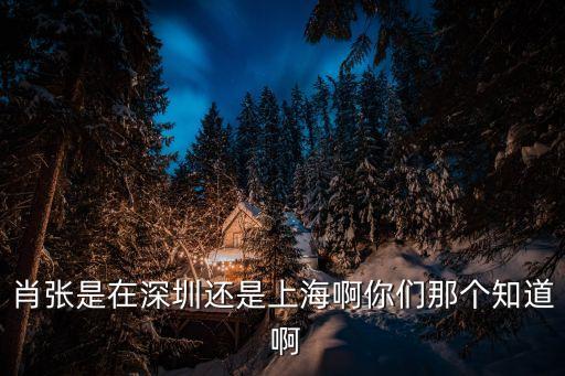 上海市寶山區(qū)仁和醫(yī)院 肖院長，肖張是在深圳還是上海啊你們那個知道 啊