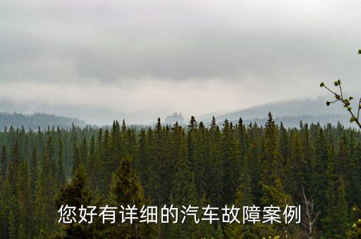 您好有詳細的汽車故障案例