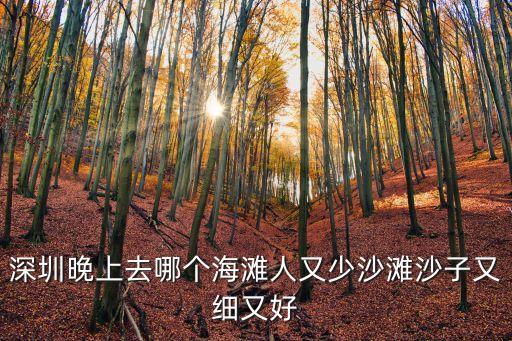 深圳晚上去哪個海灘人又少沙灘沙子又細又好