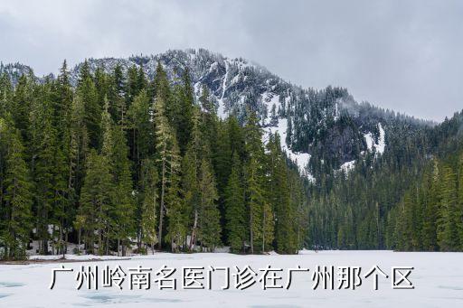廣州嶺南名醫門診在廣州那個區