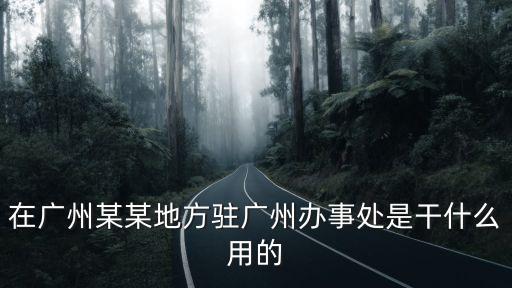 在廣州某某地方駐廣州辦事處是干什么用的