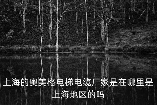 上海的奧美格電梯電纜廠家是在哪里是上海地區(qū)的嗎
