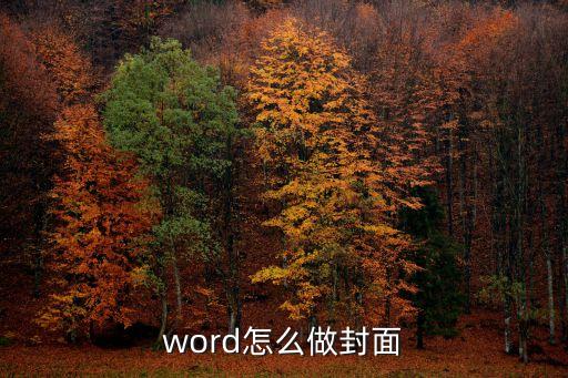 word封面怎么制作，word怎么加封面