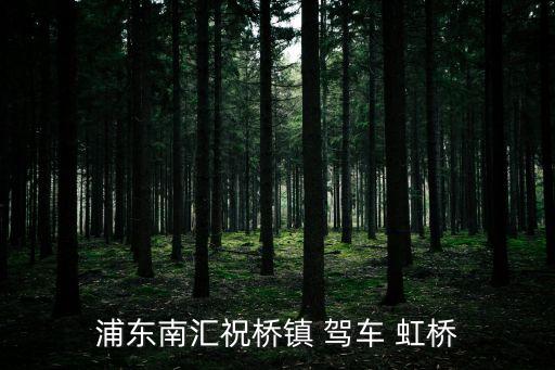上海市浦東新區祝橋鎮地圖，上海地鐵川沙站到祝橋鎮遠么 怎么走