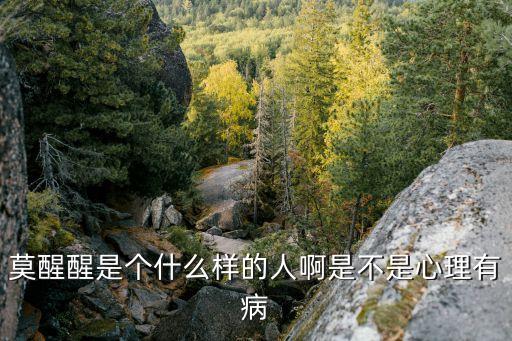 莫醒醒是個什么樣的人啊是不是心理有病
