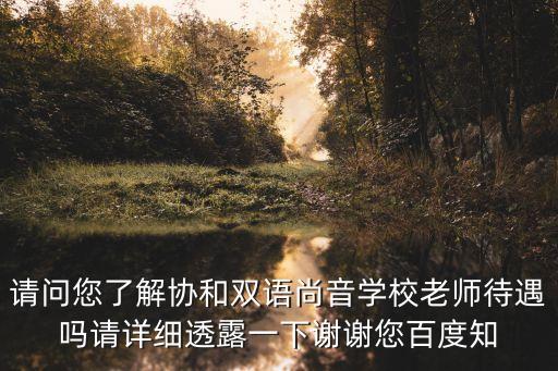 請問您了解協和雙語尚音學校老師待遇嗎請詳細透露一下謝謝您百度知