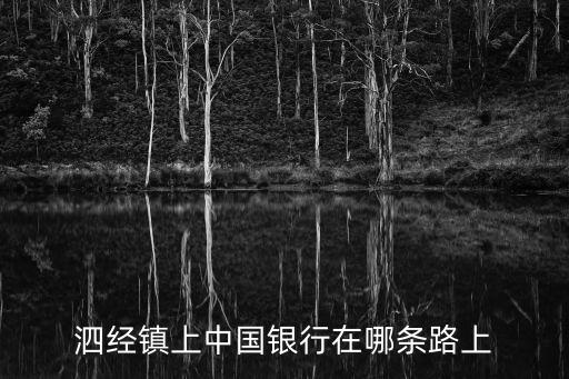 中國銀行上海市泗涇支行行號，泗經鎮上中國銀行在哪條路上