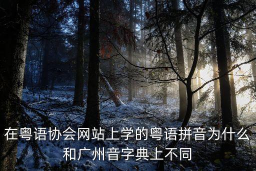 在粵語協會網站上學的粵語拼音為什么和廣州音字典上不同
