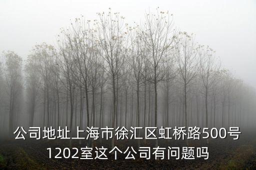 公司地址上海市徐匯區虹橋路500號1202室這個公司有問題嗎