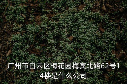 廣州市邱氏集團，廣州白云大埔工業區有多少制衣廠
