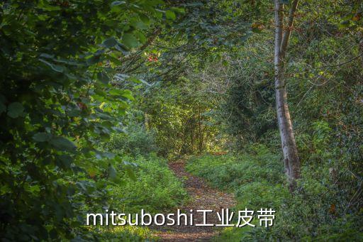 廣州專(zhuān)業(yè)三星工業(yè)皮帶總代理，供應(yīng)皮帶商