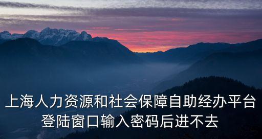 上海人力資源和社會保障自助經辦平臺登陸窗口輸入密碼后進不去