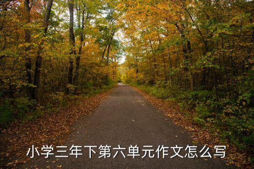 第六單元作文，六年級第六單元作文
