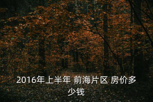 廣州前海華庭最好的房價，2016年上半年 前海片區 房價多少錢