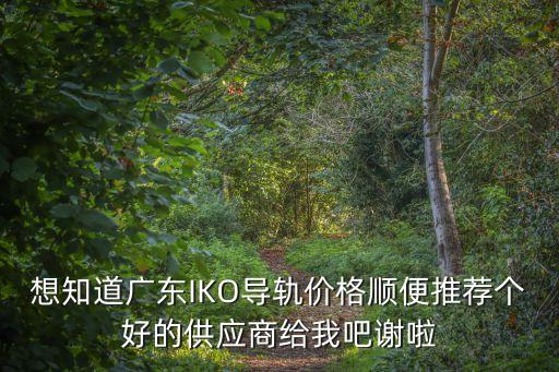想知道廣東IKO導軌價格順便推薦個好的供應商給我吧謝啦