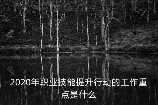 2020年職業技能提升行動的工作重點是什么