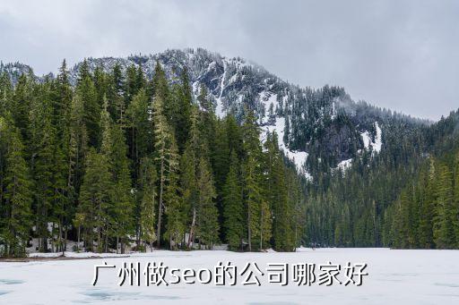 廣州做seo的公司哪家好