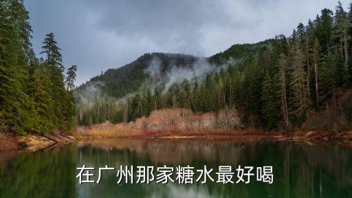 廣州糖水老鋪哪家好，廣州最好的甜品店在哪里