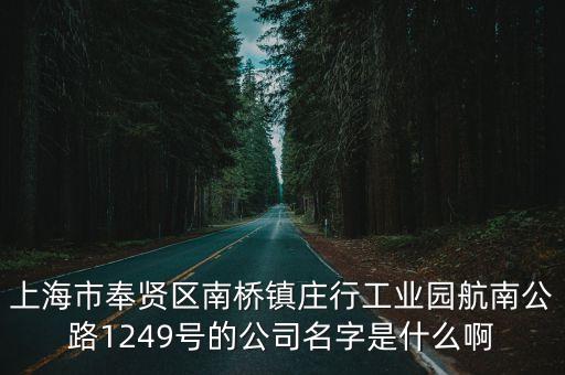 上海市奉賢區南橋鎮莊行工業園航南公路1249號的公司名字是什么啊