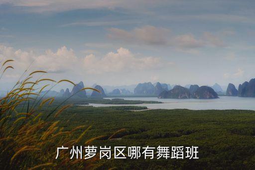 廣州蘿崗區(qū)哪有舞蹈班