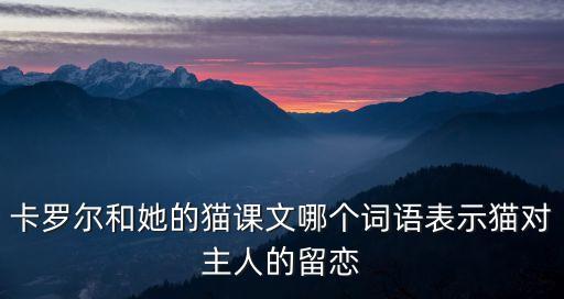 卡羅爾和她的小貓，卡羅爾和她的貓課文哪個詞語表示貓對主人的留戀