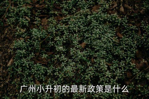 廣州小升初的最新政策是什么
