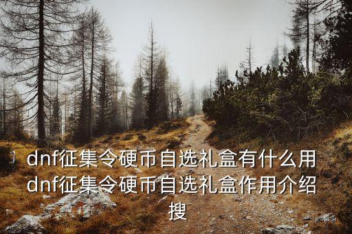 dnf征集令硬幣自選禮盒有什么用 dnf征集令硬幣自選禮盒作用介紹  搜