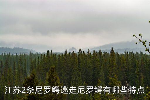 江蘇2條尼羅鱷逃走尼羅鱷有哪些特點