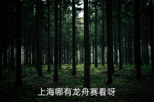 上海市龍舟，上海哪有龍舟賽看呀