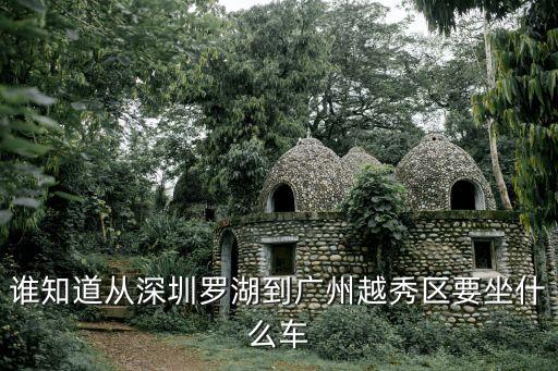 誰知道從深圳羅湖到廣州越秀區(qū)要坐什么車