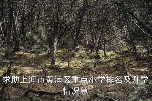 求助上海市黃浦區(qū)重點(diǎn)小學(xué)排名及升學(xué)情況急