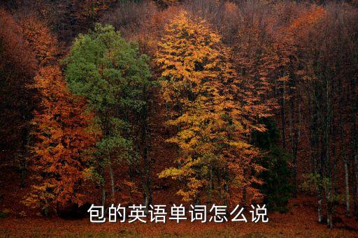 包用英語怎么說，英文包怎么拼寫