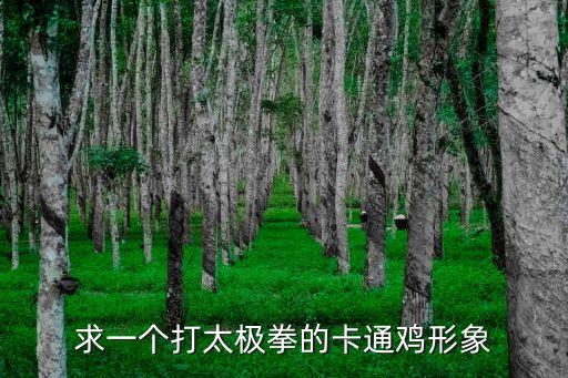 公雞卡通圖片，求一個打太極拳的卡通雞形象