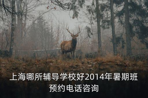 上海哪所輔導學校好2014年暑期班預約電話咨詢