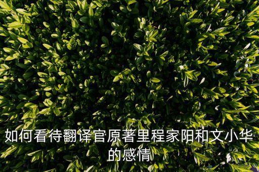 廣州商會會長翻譯官，翻譯官結局喬菲和高家明是什么關系