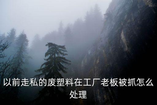 以前走私的廢塑料在工廠老板被抓怎么處理