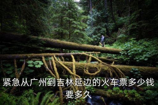 緊急從廣州到吉林延邊的火車票多少錢要多久