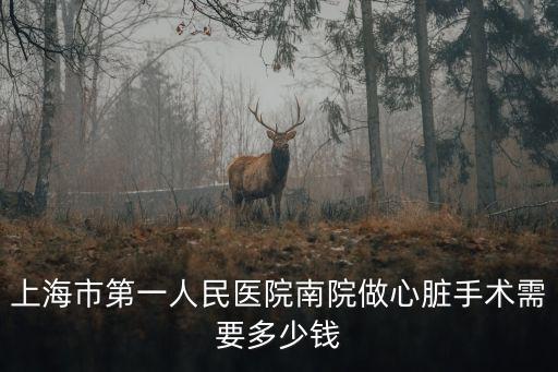 上海市缺手術費用多少錢，室缺手術費和住院費大概要多少
