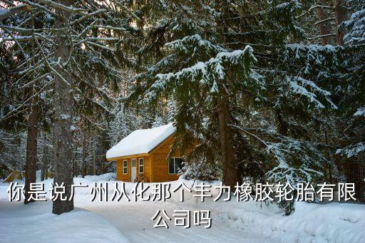 廣州豐力橡膠輪胎是什么品牌輪胎，鉆石輪胎是國產還是外國的