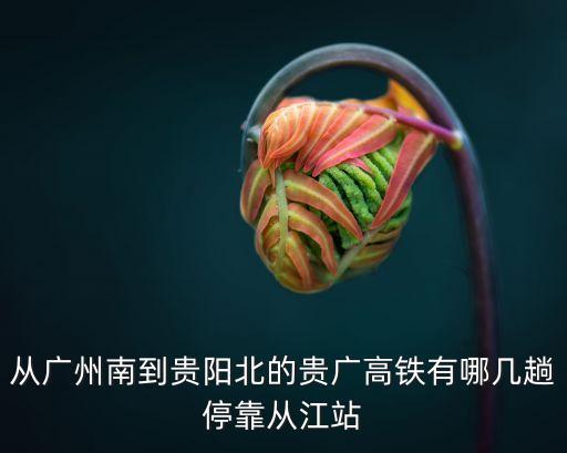 從廣州南到貴陽北的貴廣高鐵有哪幾趟停靠從江站