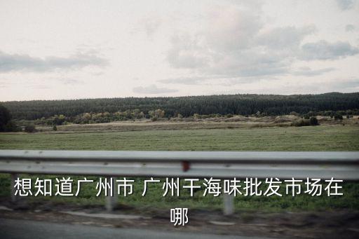廣州魷魚孜然批發，廣州海味干貨批發比一得路和清平市場更便且的地方有嗎