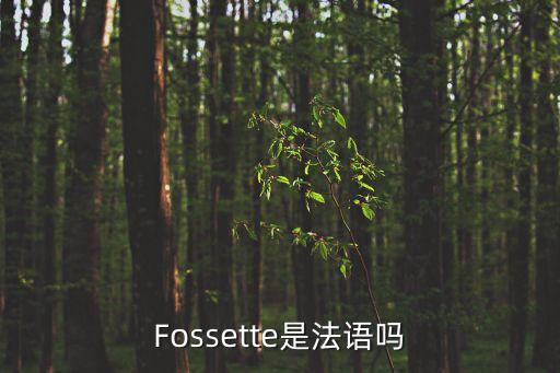 Fossette是法語嗎