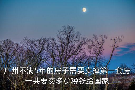 廣州不滿5年的房子需要賣掉第一套房一共要交多少稅錢給國家