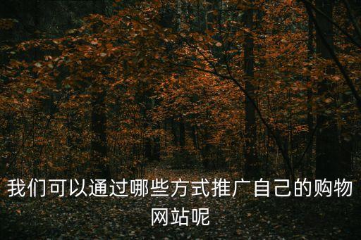 我們可以通過哪些方式推廣自己的購物網站呢