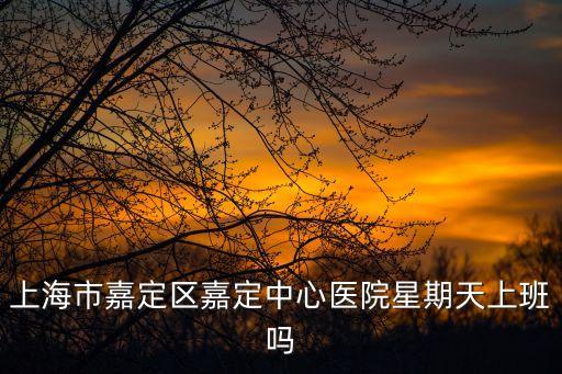 上海市嘉定區中心醫院 工作時間，上海市嘉定區嘉定中心醫院星期天上班嗎