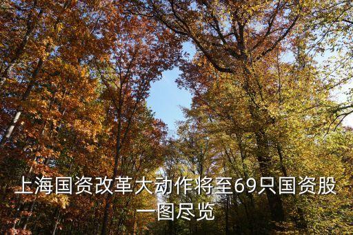 上海市國資控股的軟件上市公司，上海科箭軟件科技有限公司怎么樣