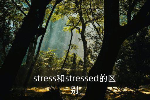 stresses，stress和stressed的區(qū)別