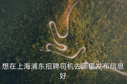 上海市小車駕駛員招工，上海駕駛員招聘信息