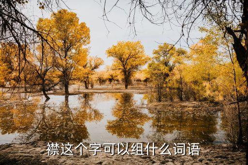 襟這個(gè)字可以組什么詞語(yǔ)