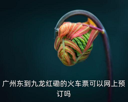 廣州東到九龍紅磡的火車票可以網(wǎng)上預(yù)訂嗎